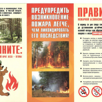 Правила пожарной безопасности в лесах